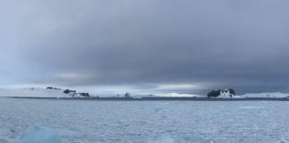 Temperaturas anómalas marcaron inédita campaña invernal en Antártica