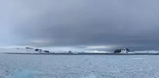 Temperaturas anómalas marcaron inédita campaña invernal en Antártica