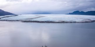 Científicos descubren nueva toxina en los mares de la Patagonia