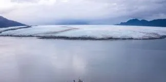 Científicos descubren nueva toxina en los mares de la Patagonia