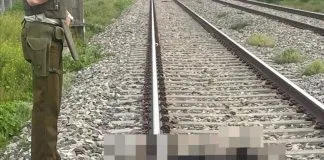 Denuncian brutal caso de maltrato animal en Rancagua: can fue atropellado por el tren, tras ser amarrado a la línea férrea
