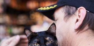 ¡Ayuda a Callejeritos de la Vega a seguir ayudando a los animales abandonados ¡