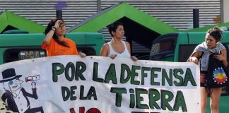 560 organizaciones solicitan al Senado y el Ejecutivo no aprobar el TPP-11, para proteger los derechos sociales y de la naturaleza