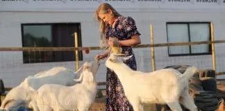 ¡ Ayuda a que el Santuario Empatía pueda seguir ayudando a todos los animales, súmandote como padrino o madrina ¡