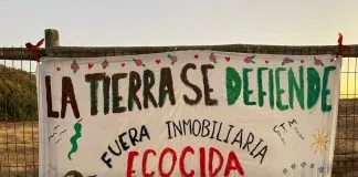Ambientalistas alzaron la voz para proteger humedal de Punta de Tralca, amenazado por un proyecto inmobiliario