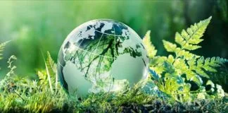 ¿Qué es el Turismo Sostenible y por qué genera grandes ventajas para el medio ambiente?