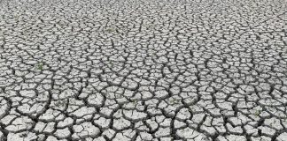 Corfo lanza encuentro «Súmate a la Acción Climática» para vincular empresas y actores claves que impulsen innovaciones sostenibles en el país