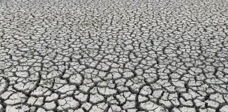 Corfo lanza encuentro «Súmate a la Acción Climática» para vincular empresas y actores claves que impulsen innovaciones sostenibles en el país