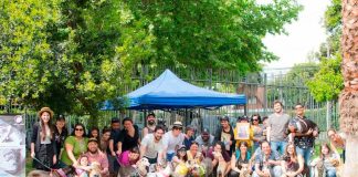 ¡ Ayuda a la Fundación Galgos a seguir ayudando a los animales,sumándote como socio con un aporte mensual ¡