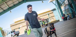 Buena iniciativa: realizan curso de adiestramiento para perros potencialmente peligrosos en Quilpué