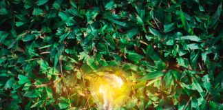 ¿Cómo ahorrar energía y ser más sustentables en los negocios y hogares?