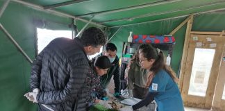 Chiloé-Silvestre junto a Colmevet realizan capacitaciones a funcionarios públicos en rescate y transporte de fauna silvestre