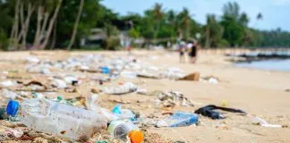 DÍA MUNDIAL DE LIMPIEZA DE COSTAS Y PLAYAS: ¿Qué pasa si no las limpiamos?