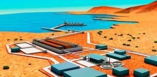 Acción de Nulidad de Derecho Público en contra la calificación favorable del proyecto Dominga fue admitida a trámite por el Tribunal