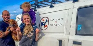 Indignante: Estafaron a Santuario Empatía en la compra de comida para sus animales