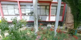 Posta Central inauguró Jardín Sanador creado para retribuir el trabajo de funcionarios de salud durante la pandemia