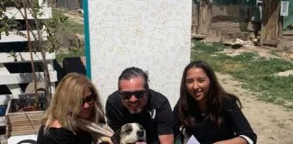 Buenas noticias: 12 canes fueron adoptados desde el Refugio Esperanza de Mirada Animal Chile, durante octubre