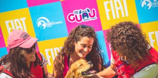 ¿Buscando adoptar un perrito?, ¡asiste a la jornada de adopción este sábado de Mirada Animal y Fiat¡