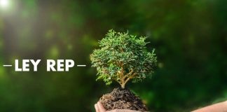 El último año de preparación de la LEY REP y aún falta mucho camino por recorrer (Opinión)