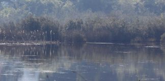 Aceptan reclamación contra el MMA por declaratoria del humedal urbano Los Juanes, comuna de Quintero