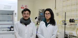 Buscan crear un humedal en comuna azotada por la sequía utilizando aguas servidas purificadas