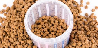 Alimentos de mascotas no contienen mensajes de tenencia responsable pese a la normativa, denuncia Geda