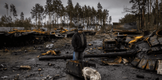 Indignante realidad: más de 80 especies de animales están bajo peligro de extinción en Ucrania, a causa de la guerra