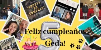 Fundación GEDA Chile cumplió 5 años trabajando por los animales en la Región de Valparaíso