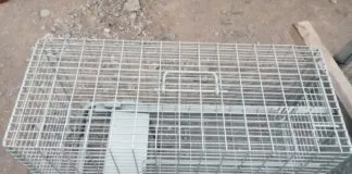 Ayuda a conocida rescatista a seguir ayudando a los animales, ¡aportando a la compra de su jaula de atrape gatuno ¡