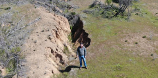 Con datos geoespaciales cuantifican el estado de los suelos degradados en Chile