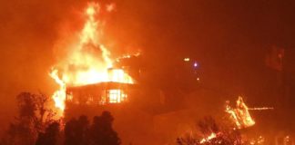 Colmevet hace llamado a donar para continuar con las labores de rescate en la Región de Valparaíso, tras los voraces incendios forestales