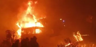 Colmevet hace llamado a donar para continuar con las labores de rescate en la Región de Valparaíso, tras los voraces incendios forestales