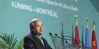 ONU advierte que la humanidad se ha convertido en un “arma de extinción masiva” de la naturaleza