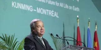 ONU advierte que la humanidad se ha convertido en un “arma de extinción masiva” de la naturaleza