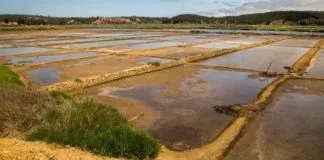 Instalan sensores que medirán variables ambientales del Humedal de Cáhuil