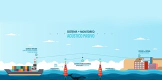 Emprendimiento instala boyas con inteligencia artificial para ayudar a la fauna marina a través de la detección sonora