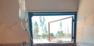 ¡Ayudemos a la yeguita Ámbar a salir adelante ¡