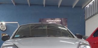 Buena iniciativa: Perros son los protagonistas en una automotora de Argentina, con el fin de fomentar su adopción