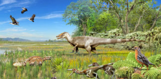 Megarraptores habrían dominado comunidad de dinosaurios carnívoros que habitaron la Patagonia Chilena hace más de 70 millones de años