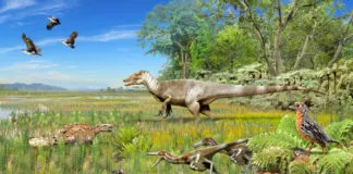 Megarraptores habrían dominado comunidad de dinosaurios carnívoros que habitaron la Patagonia Chilena hace más de 70 millones de años