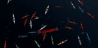 La industria salmonera y su retroceso mundial: Desafíos medio ambientales para Chile 2023