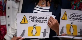 Y llegó la hora: este miércoles el Comité de Ministros analizará el futuro de Dominga