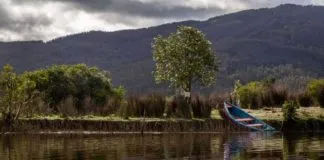 Semana de los Humedales 2023: Actividades educativas, culturales y científicas para relevar estos ecosistemas