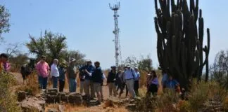 Segundo Tribunal Ambiental llevó a cabo inspección en Pukara de Graneros, tras demanda por daño ambiental contra la Sociedad Agrícola Mesquihué