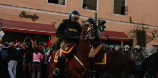 Llaman a denunciar el uso de animales como medida de contención frente a las protestas ciudadanas de Perú, en base a la legislación actual
