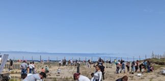 Vecinos plantan mil especies para conservar Humedal de Cartagena