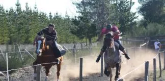 Maltrato animal en carrera de caballos «a la chilena» termina con jinete muerto