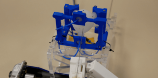 Physical Twins: Académico UOH desarrollará tecnología que permite crear réplicas de órganos y evitar ensayos clínicos en animales