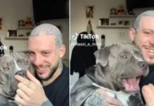 Furor en TikTok: la tierna reacción de perrito al creer que estaba «sin nariz»