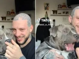 Furor en TikTok: la tierna reacción de perrito al creer que estaba «sin nariz»